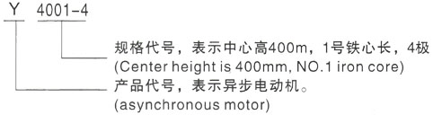 西安泰富西玛Y系列(H355-1000)高压YJTFKK4505-4-710KW三相异步电机型号说明